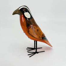 Charger l'image dans la galerie, Img