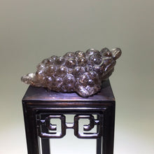 Charger l&#39;image dans la galerie, Copper Rutilated Smokey Quartz Money Frog
