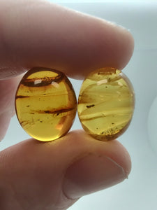 Baltic Amber With Insect Inclusion
