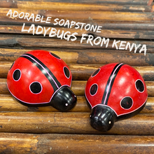 將圖片載入圖庫檢視器 Soapstone Ladybug
