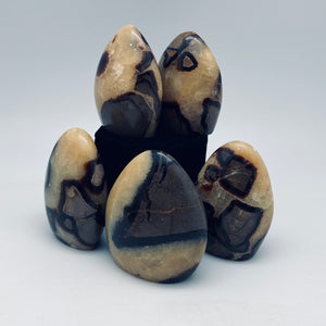 Septarian Nodule Free forms