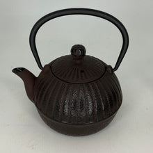 Cargar imagen en el visor de la galería, Japanese Iron Teapots
