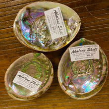 將圖片載入圖庫檢視器 Abalone Shells for Smudging, Farm Raised
